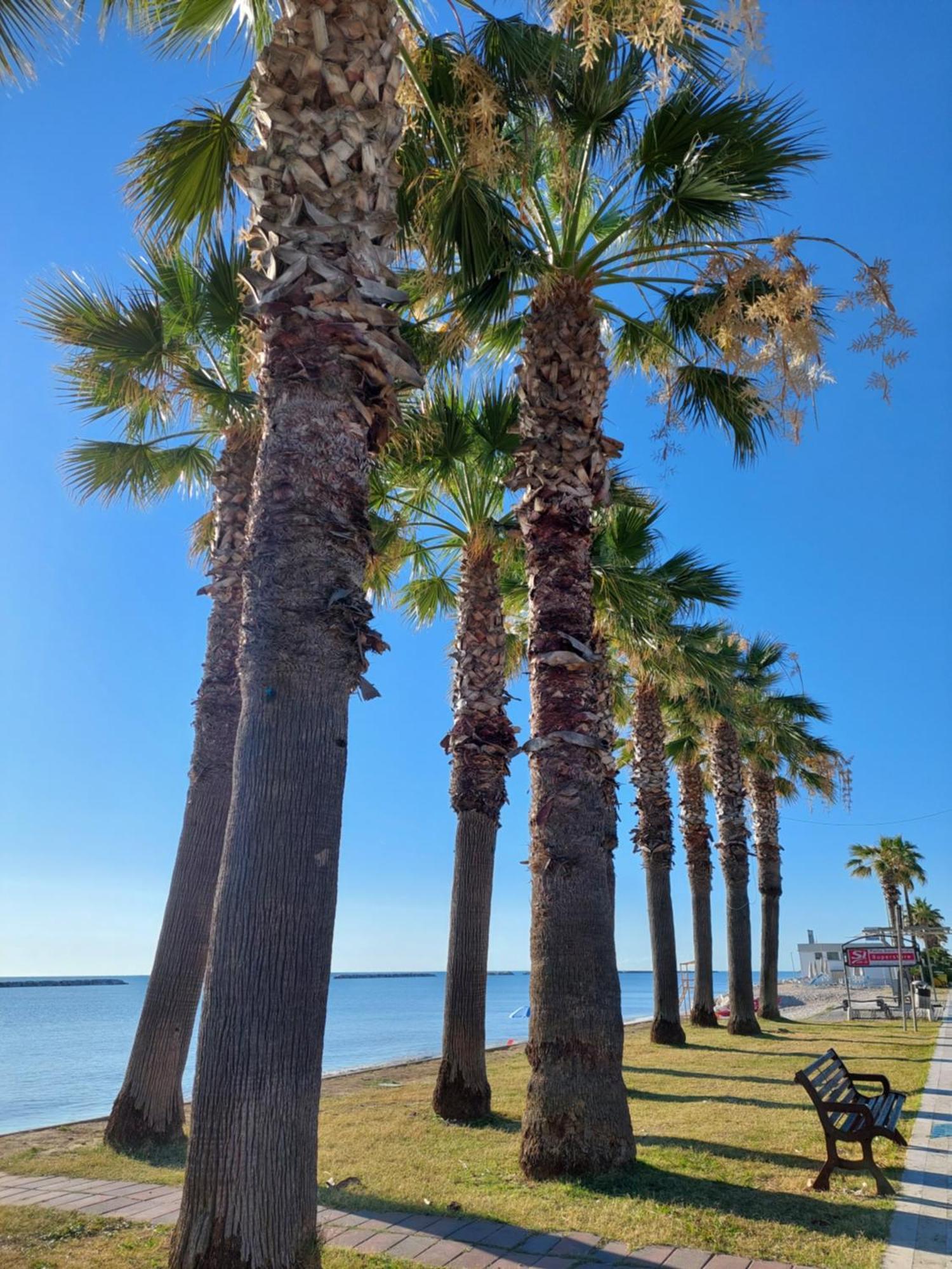 דירות Porto SantʼElpidio La Conchiglia מראה חיצוני תמונה